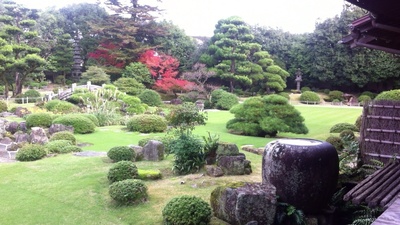 image-6deec.jpg